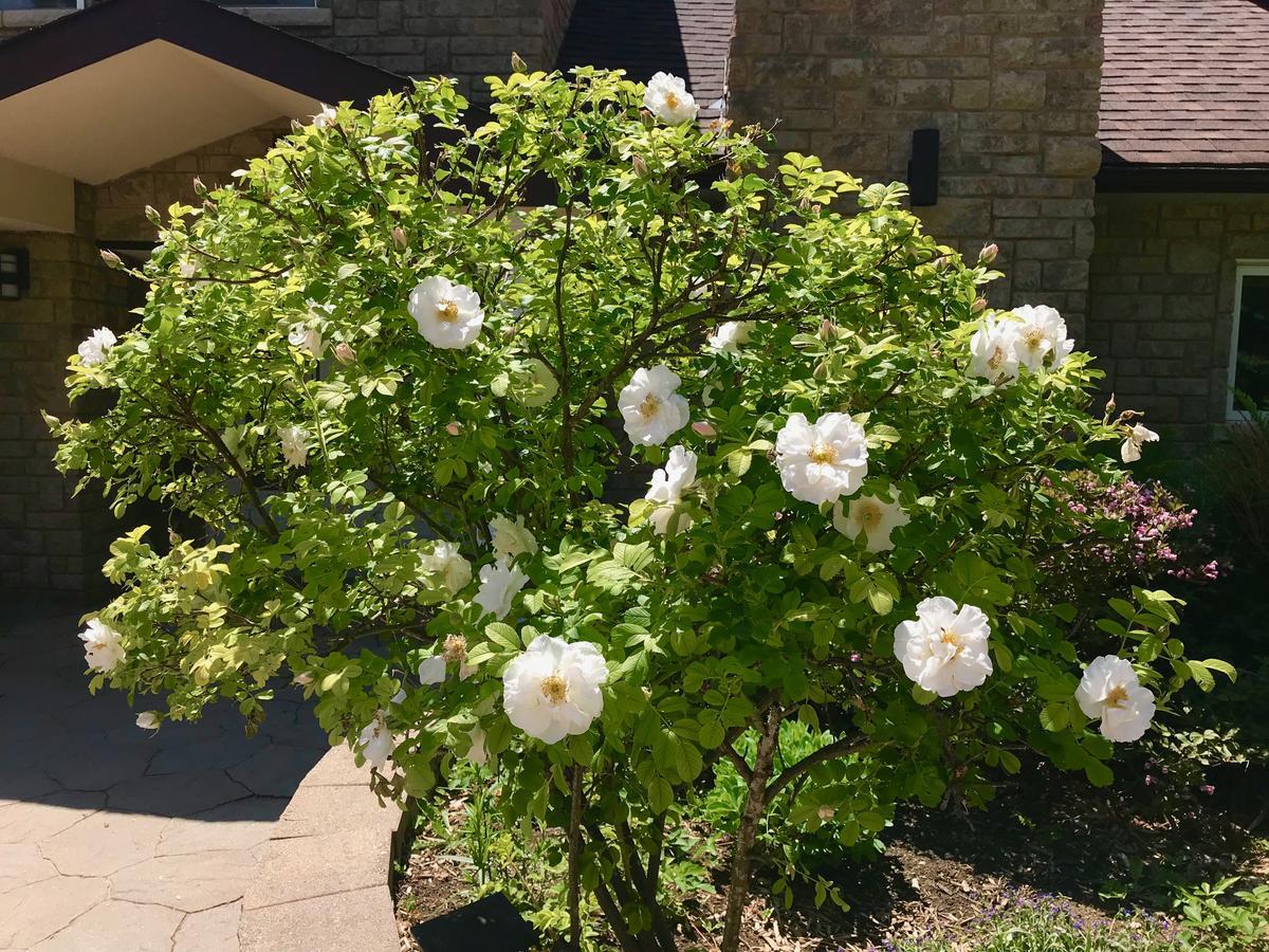 Auberge Tom B&B Chelsea 외부 사진