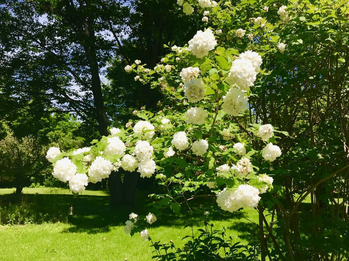 Auberge Tom B&B Chelsea 외부 사진
